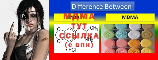 прущие грибы Балахна