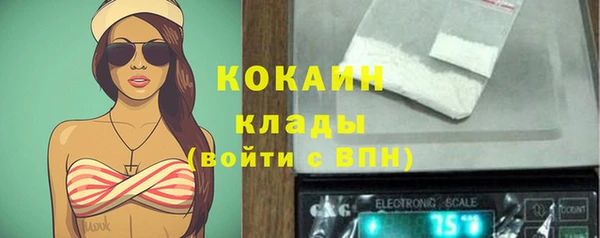 прущий лед Осташков