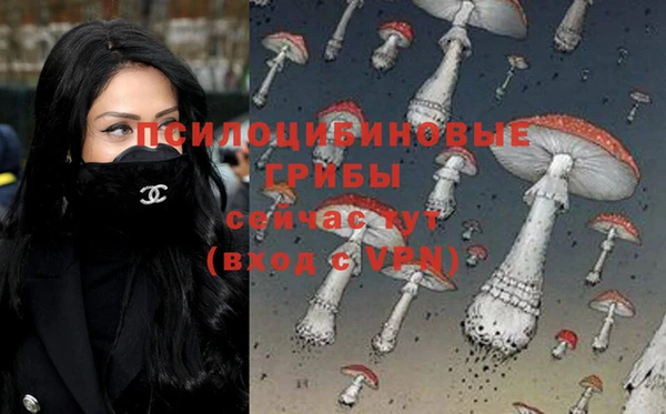 прущие грибы Балахна