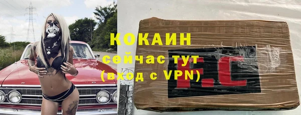 прущие грибы Балахна