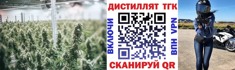 магазин продажи наркотиков  Сафоново  ТГК THC oil 